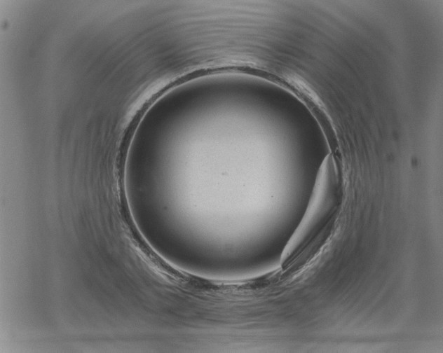 X0000068900789200605122059