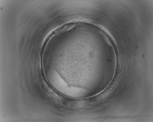 X0000068900791200605122059