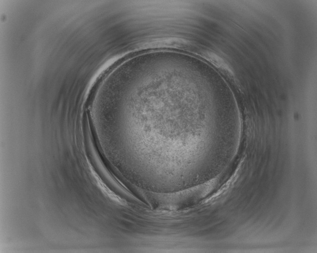 X0000068900792200605122059