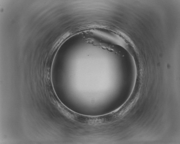 X0000068900793200605122058