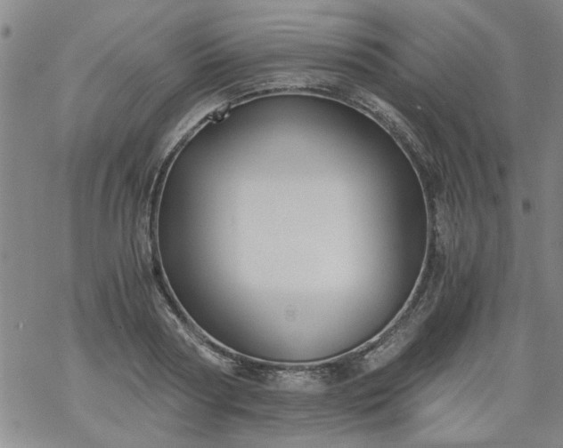 X0000068900794200605122058