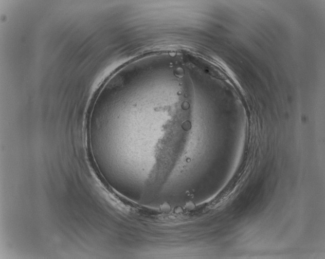 X0000068900795200605122058