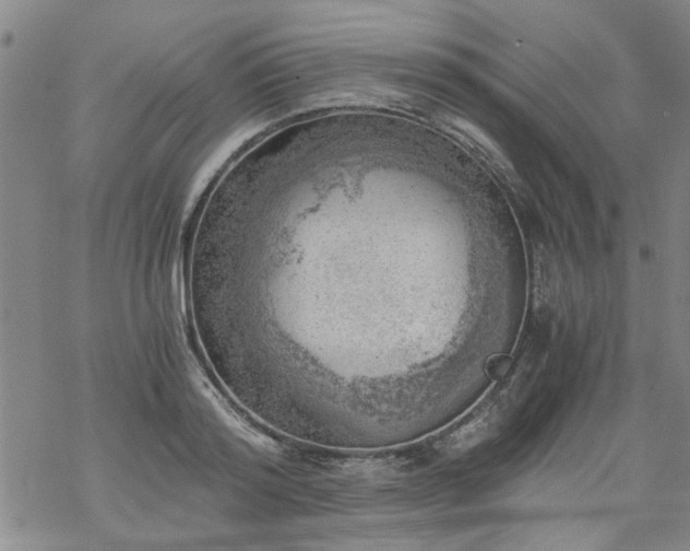 X0000068900796200605122058