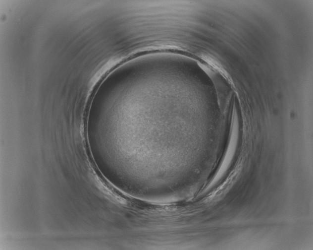 X0000068900797200605122058