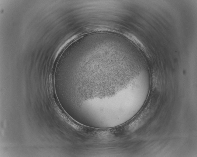 X0000068900798200605122058