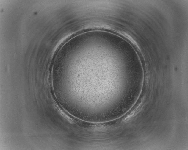 X0000068900799200605122058