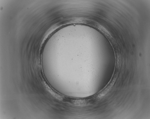 X0000068900800200605122058