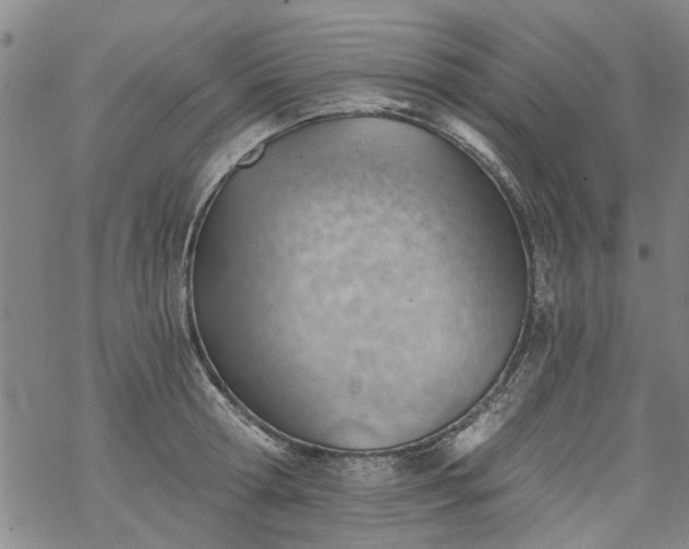 X0000068900802200605122058