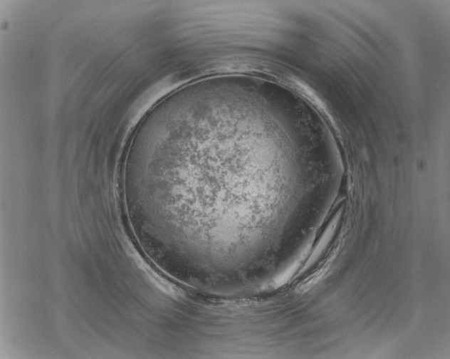 X0000068900803200605122058