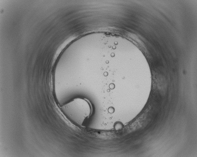 X0000068900804200605122058