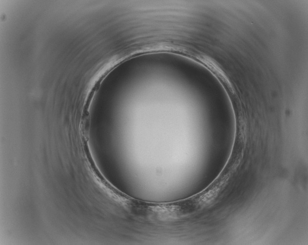 X0000068900805200605122058