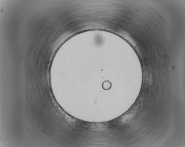 X0000068900807200605122058