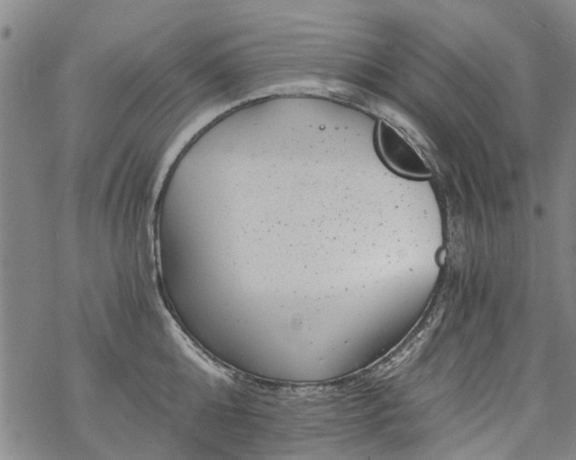 X0000068900808200605122058