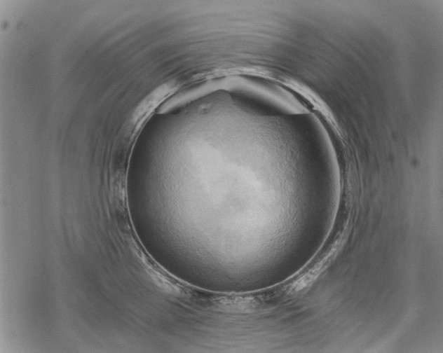 X0000068900809200605122058