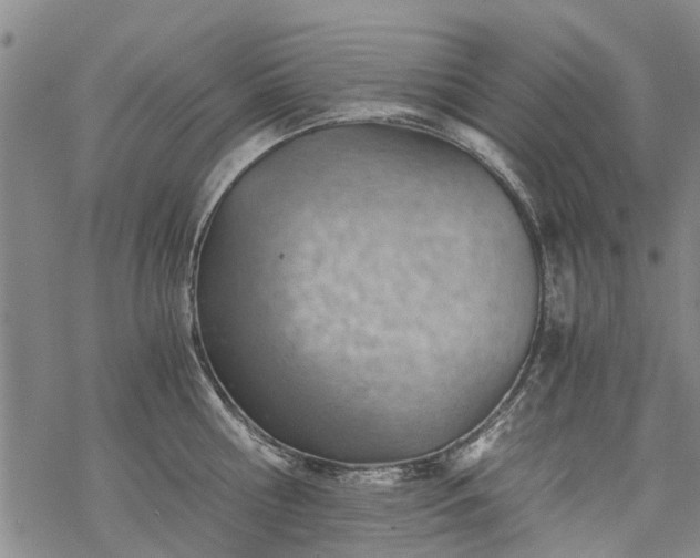 X0000068900810200605122058