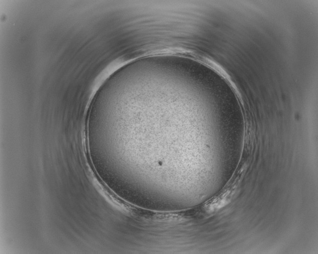 X0000068900811200605122058