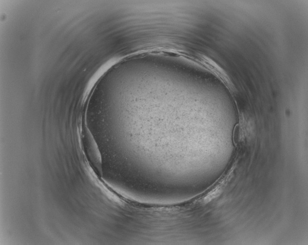 X0000068900812200605122058