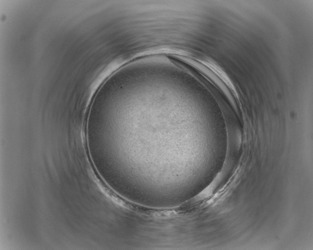 X0000068900813200605122058