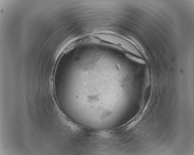 X0000068900814200605122058