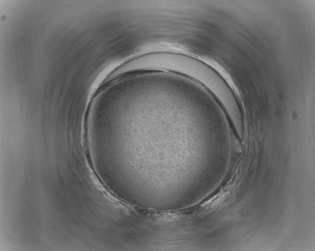 X0000068900815200605122058