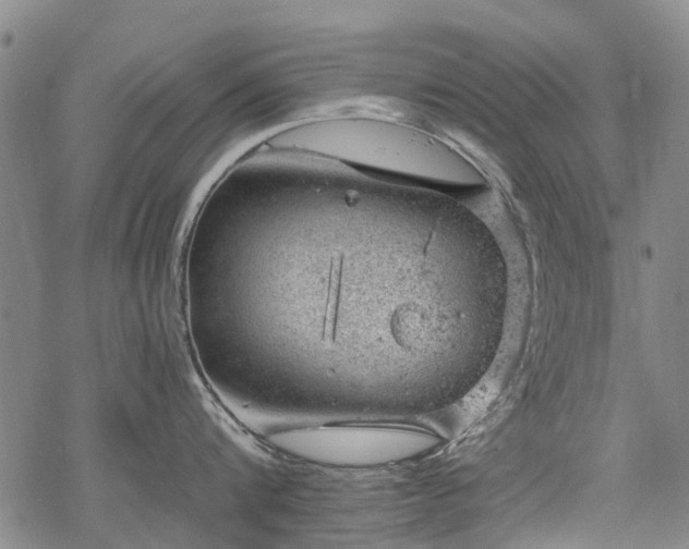 X0000068900816200605122058