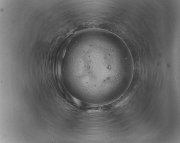 X0000068900818200605122057