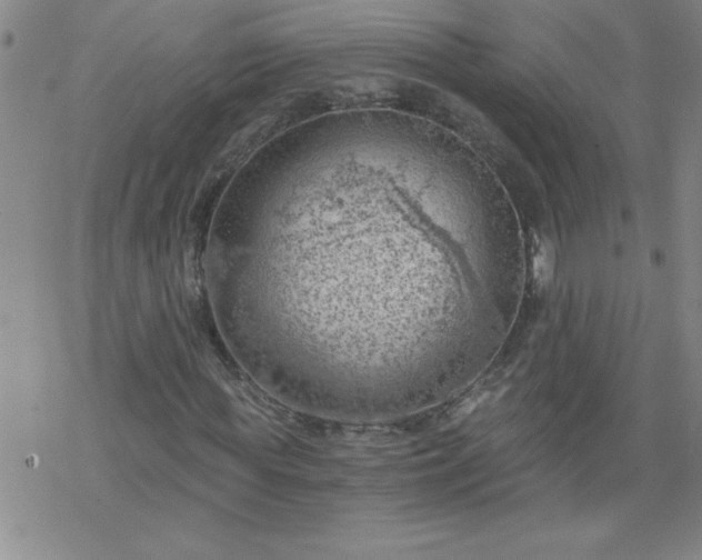 X0000068900819200605122057