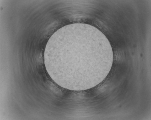 X0000068900820200605122057