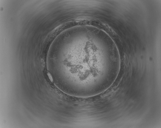 X0000068900821200605122057