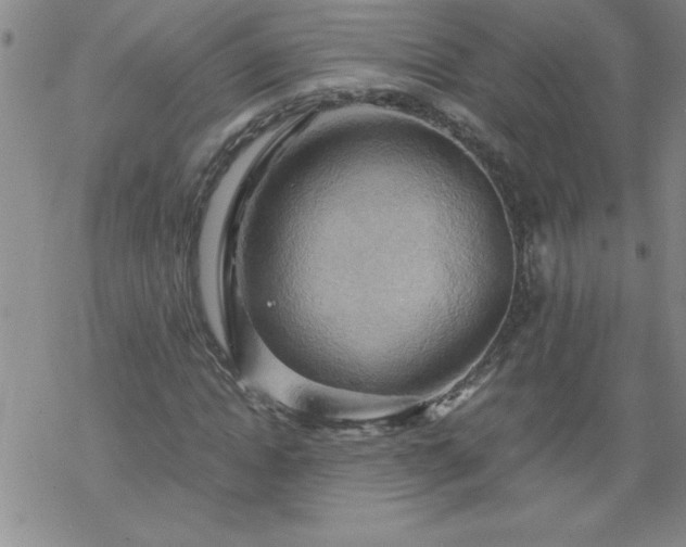 X0000068900822200605122057