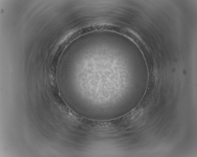 X0000068900823200605122057