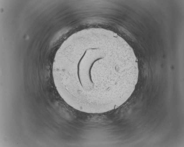 X0000068900824200605122057