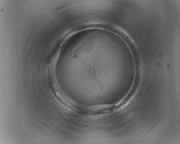 X0000068900825200605122057