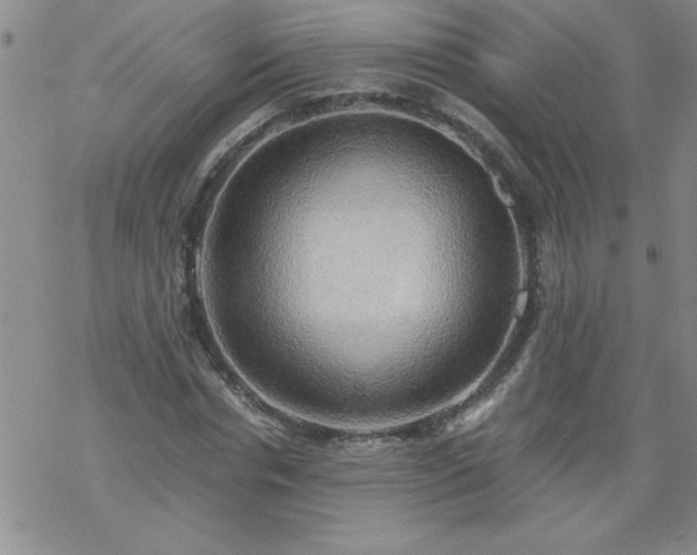 X0000068900826200605122057