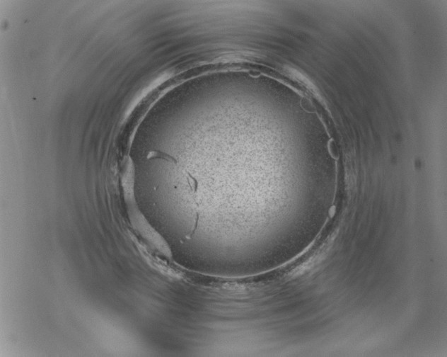 X0000068900827200605122057