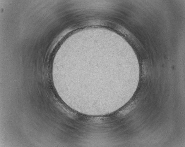 X0000068900828200605122058