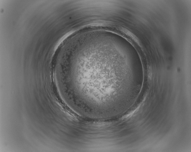 X0000068900829200605122058