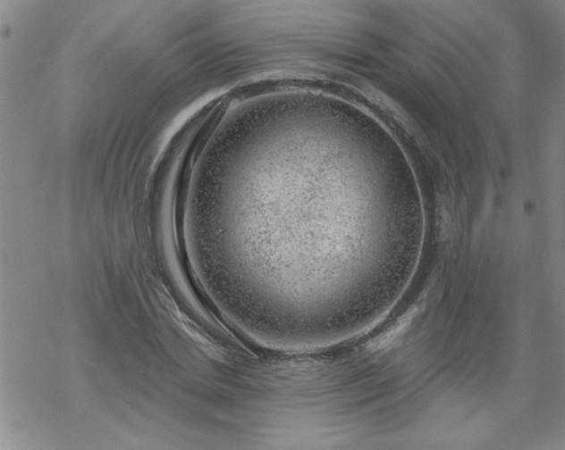 X0000068900830200605122058