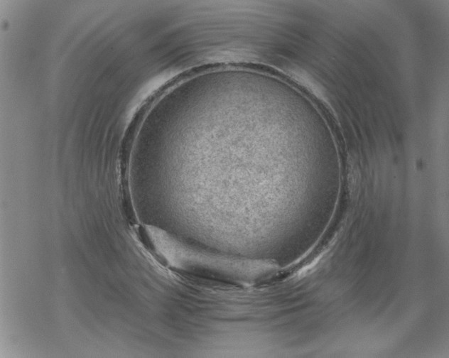 X0000068900831200605122058