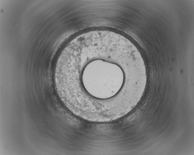 X0000068900832200605122058