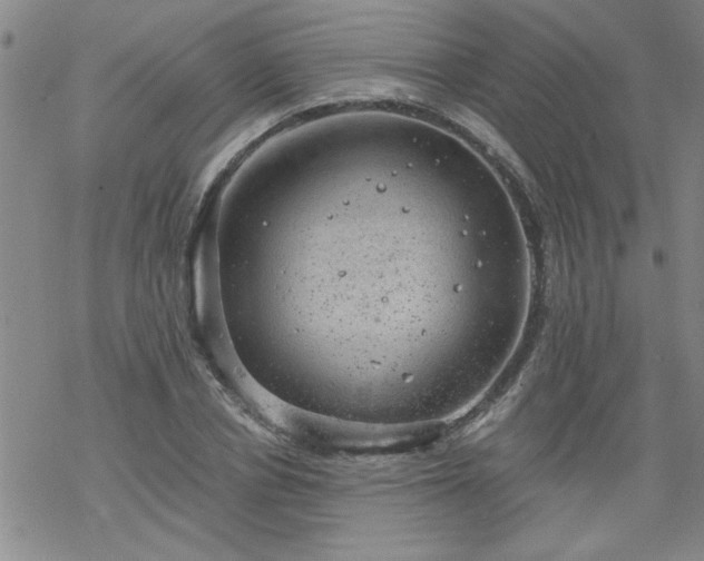 X0000068900834200605122058