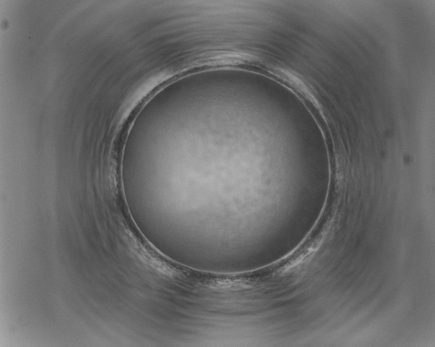 X0000068900835200605122058