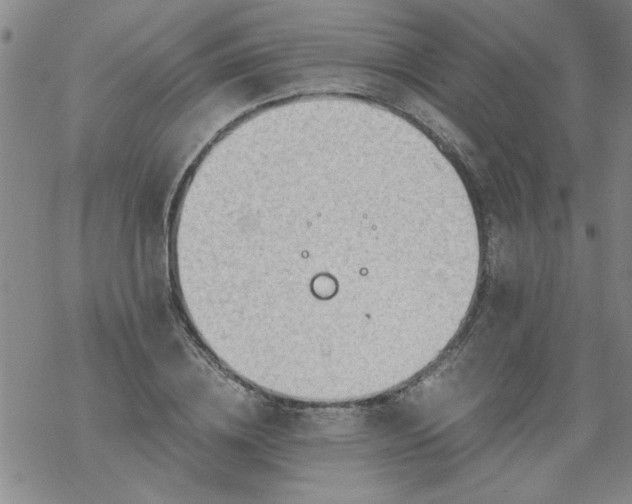 X0000068900836200605122058