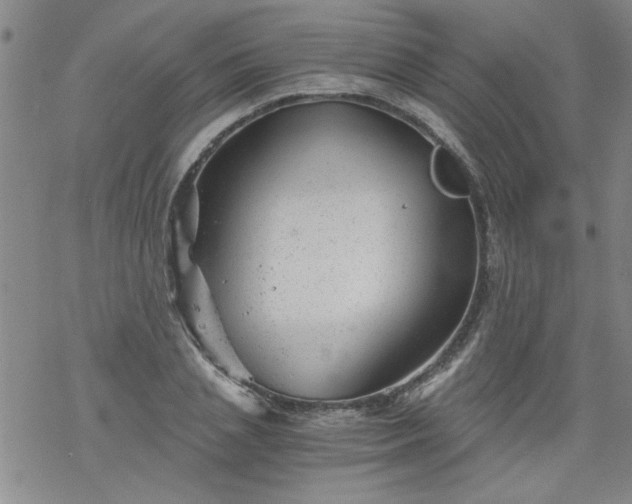 X0000068900837200605122058