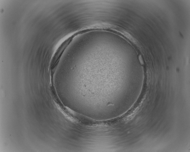 X0000068900838200605122058