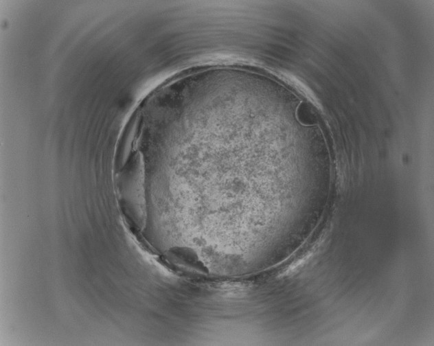 X0000068900839200605122058