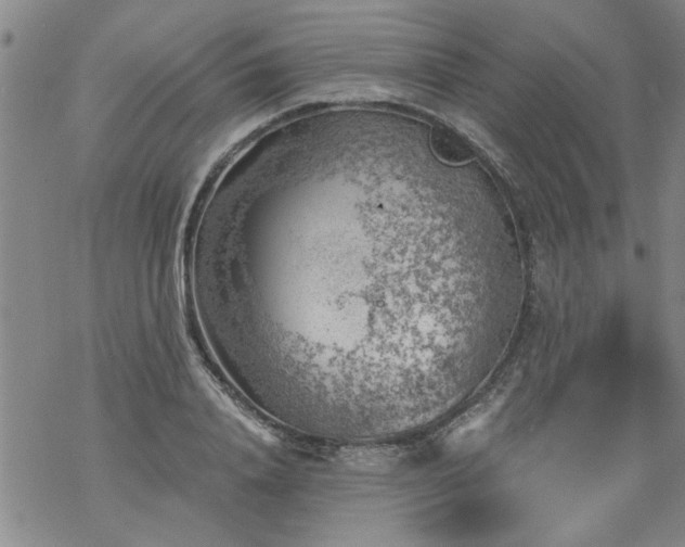 X0000068900840200605122058