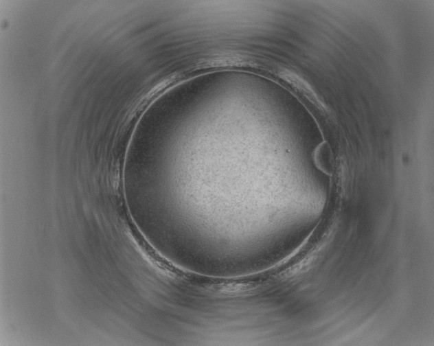 X0000068900841200605122058