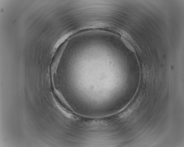 X0000068900842200605122058