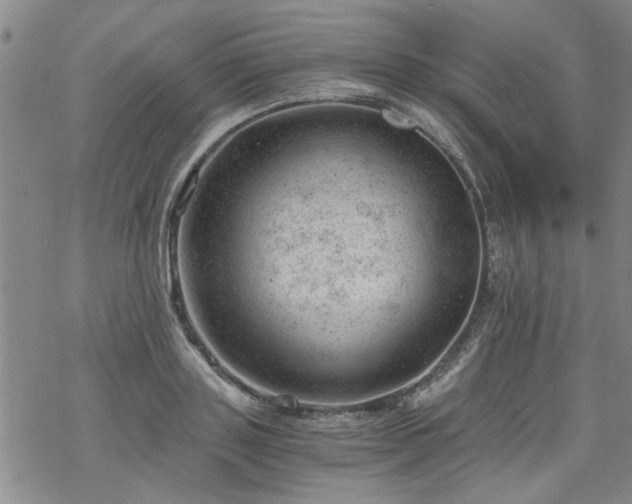 X0000068900843200605122058